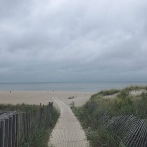 Meet your Posher, Bill